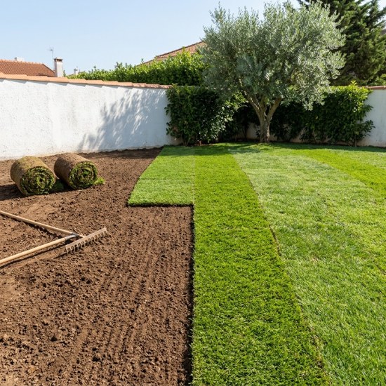 Colocação de relvado natural em tapete num logradouro — Grande Lisboa